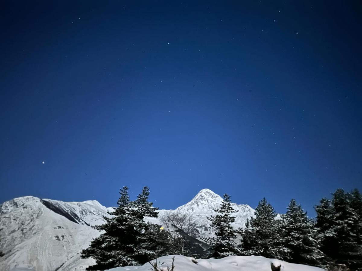 Dachi Inn Kazbegi Exterior photo
