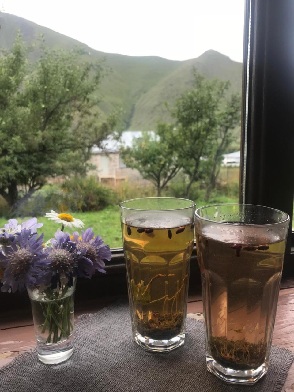 Dachi Inn Kazbegi Exterior photo